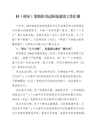 村（社区）党组织书记队伍建设工作汇报