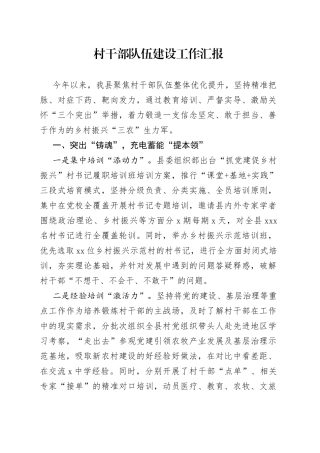 村干部队伍建设工作汇报