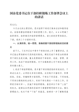 国企党委书记在干部挂职锻炼工作部署会议上的讲话