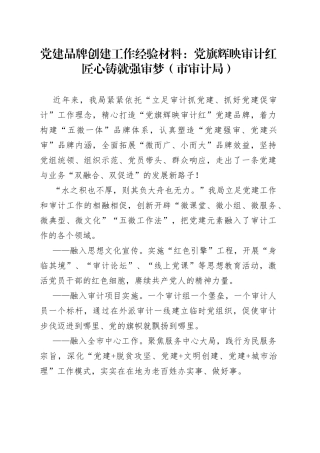 党建品牌创建工作经验材料：党旗辉映审计红匠心铸就强审梦（市审计局）