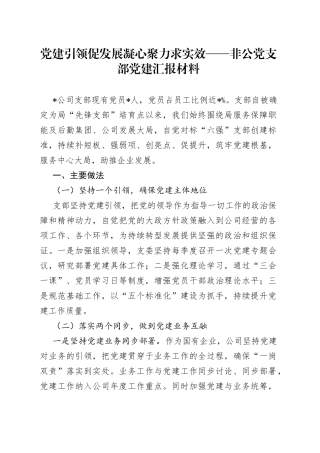 党建引领促发展凝心聚力求实效非公党支部党建汇报材料