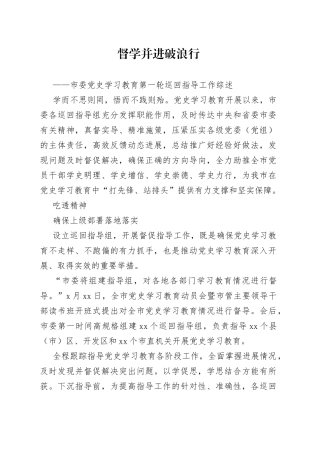 党史学习教育巡回指导组阶段性工作总结