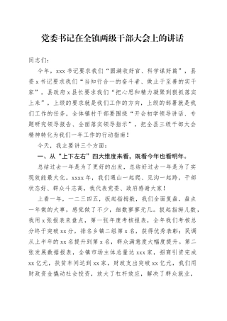 党委书记在全镇两级干部大会上的讲话