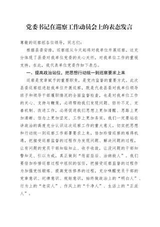 党委书记在巡察工作动员会上的表态发言