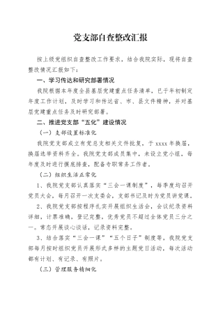 党支部自查整改汇报