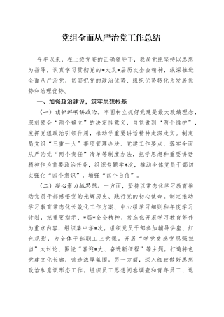 党组全面从严治党工作总结
