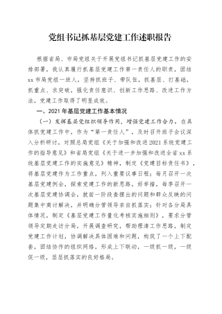 党组书记抓基层党建工作述职报告（1）