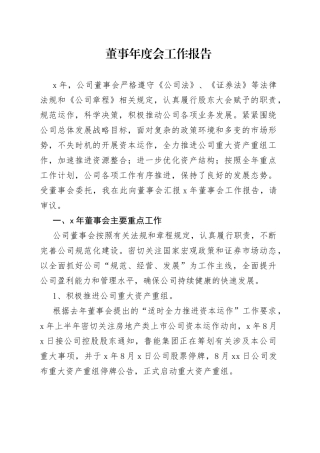 董事年度会工作报告