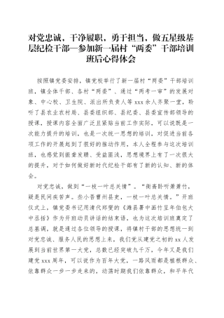 对党忠诚，干净履职，勇于担当，做五星级基层纪检干部参加新一届村“两委”干部培训班后心得体会