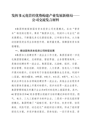 发挥多元化管控优势构建产业发展新格局公司交流发言材料