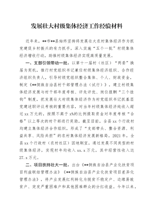 发展壮大村级集体经济工作经验材料