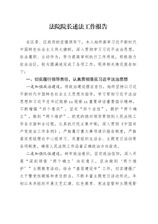 法院院长述法工作报告