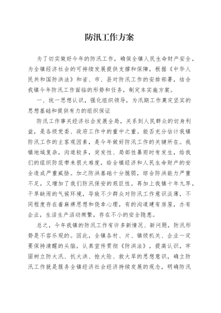 防汛工作方案