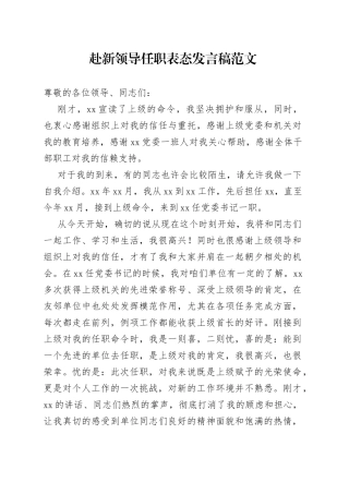 赴新领导任职表态发言稿范文