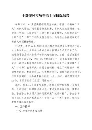 干部作风专项整治工作情况报告
