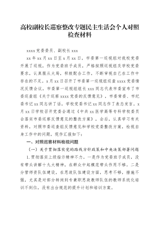 高校副校长巡察整改专题民主生活会个人对照检查材料