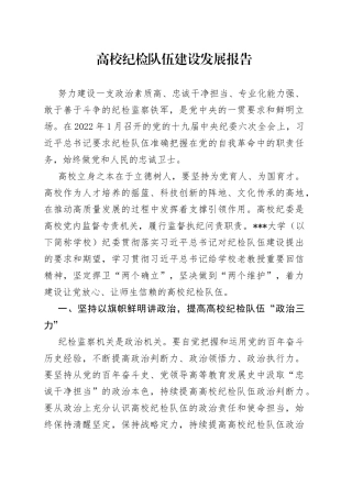 高校纪检队伍建设发展报告