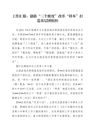 工作汇报：创新“三个维度”改革“样本”打造基层团组织