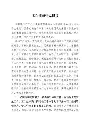 工作业绩亮点报告