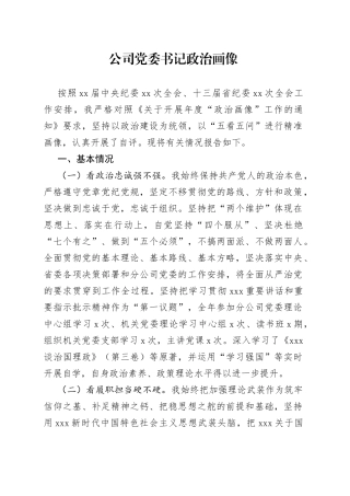 公司党委书记政治画像