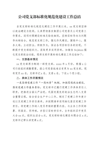 公司党支部标准化规范化建设工作总结（1）