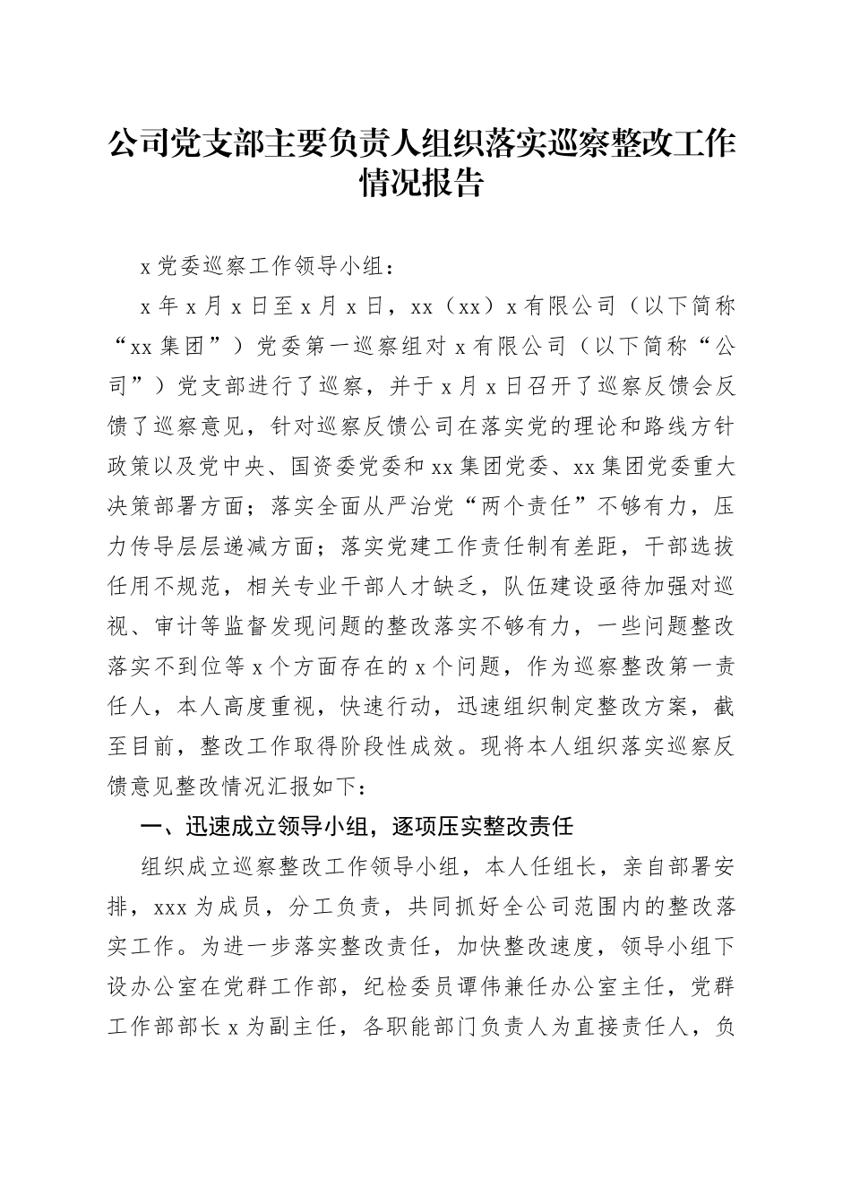 公司党支部主要负责人组织落实巡察整改工作情况报告_第1页