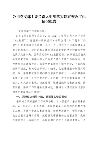 公司党支部主要负责人组织落实巡察整改工作情况报告