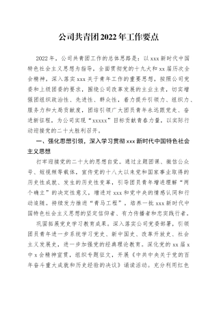 公司共青团2022年工作要点