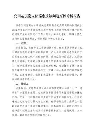 公司基层党支部巡察反馈问题原因分析报告