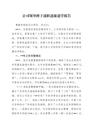 公司领导班子述职述廉述学报告