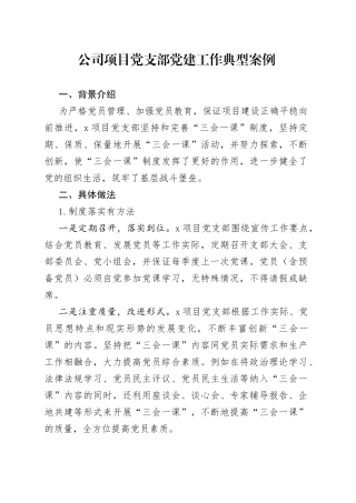 公司项目党支部党建工作典型案例