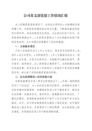 公司支部党建工作情况汇报