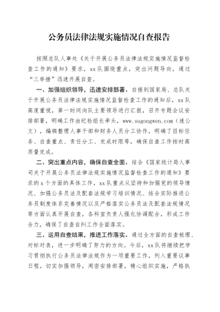 公务员法律法规实施情况自查报告