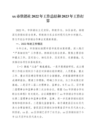 供销社2022年工作总结和2023年工作打算