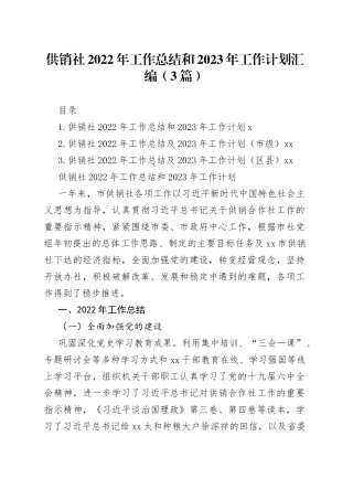 供销社2022年工作总结和2023年工作计划汇编（3篇）