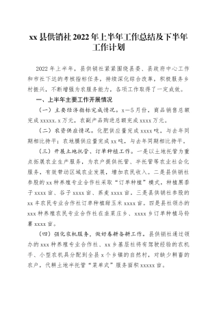 供销社2022年上半年工作总结及下半年工作计划