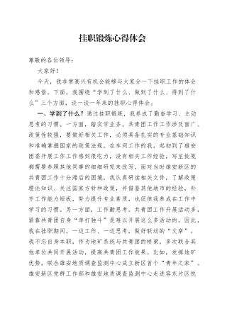 挂职锻炼心得体会