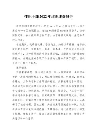 挂职干部2022年述职述责报告（1）