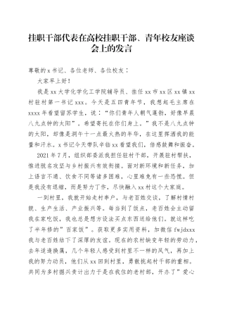 挂职干部代表在高校挂职干部、青年校友座谈会上的发言