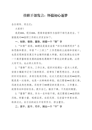 挂职干部发言：怀揣初心逐梦