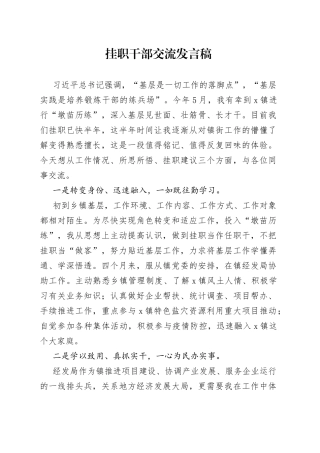 挂职干部交流发言稿