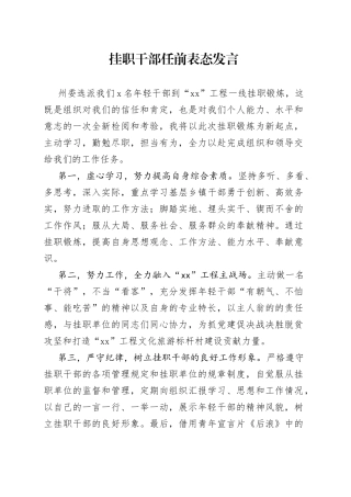 挂职干部任前表态发言