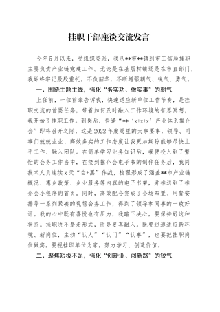 挂职干部座谈交流发言