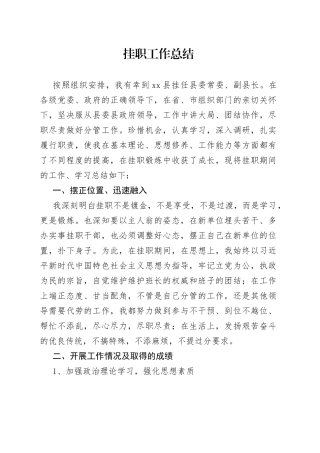 挂职工作总结（1）