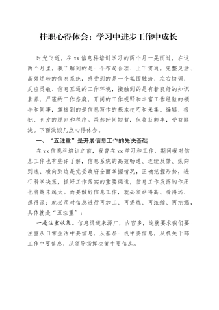 挂职心得体会：学习中进步工作中成长