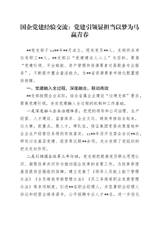 国企党建经验交流：党建引领显担当以梦为马赢青春