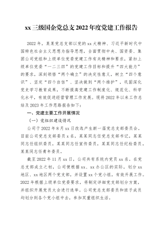 国企党总支2022年度党建工作报告