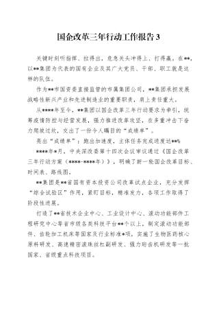 国企改革三年行动工作报告3