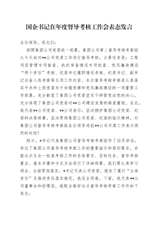 国企书记在年度督导考核工作会表态发言（1）