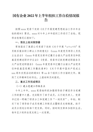 国有企业2022年上半年组织工作自检情况报告